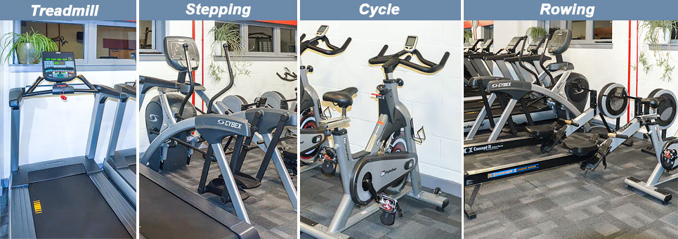 Cardio machines: cycling rowing running stepping