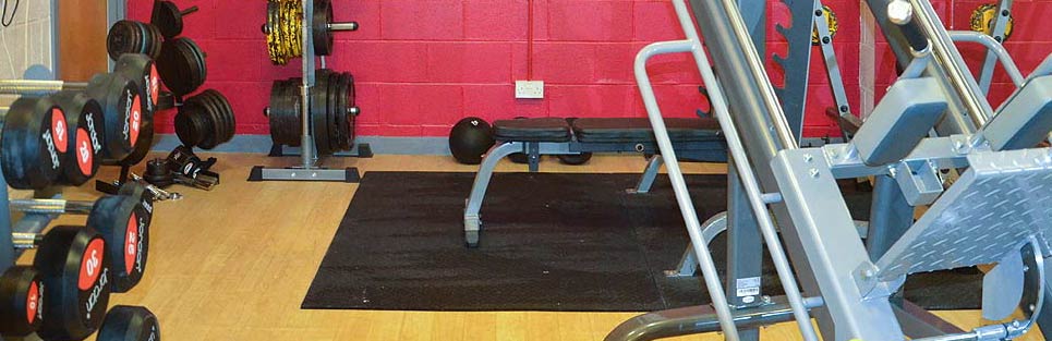 Some of the weights and strength training gear at our gym